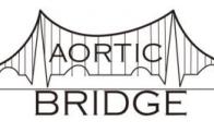 Aortic Bridge-Patient, Family, Friend, Caregiver, Health Care Provides and Physician Education and Support Group